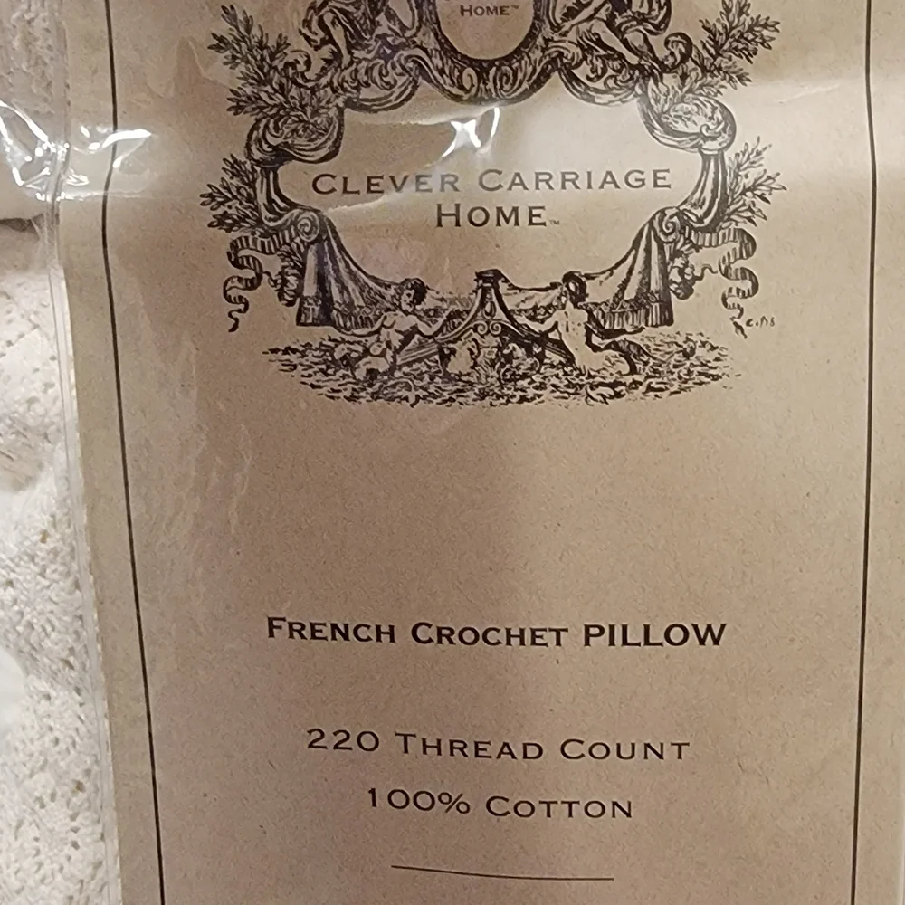 clever carriage home questions leave